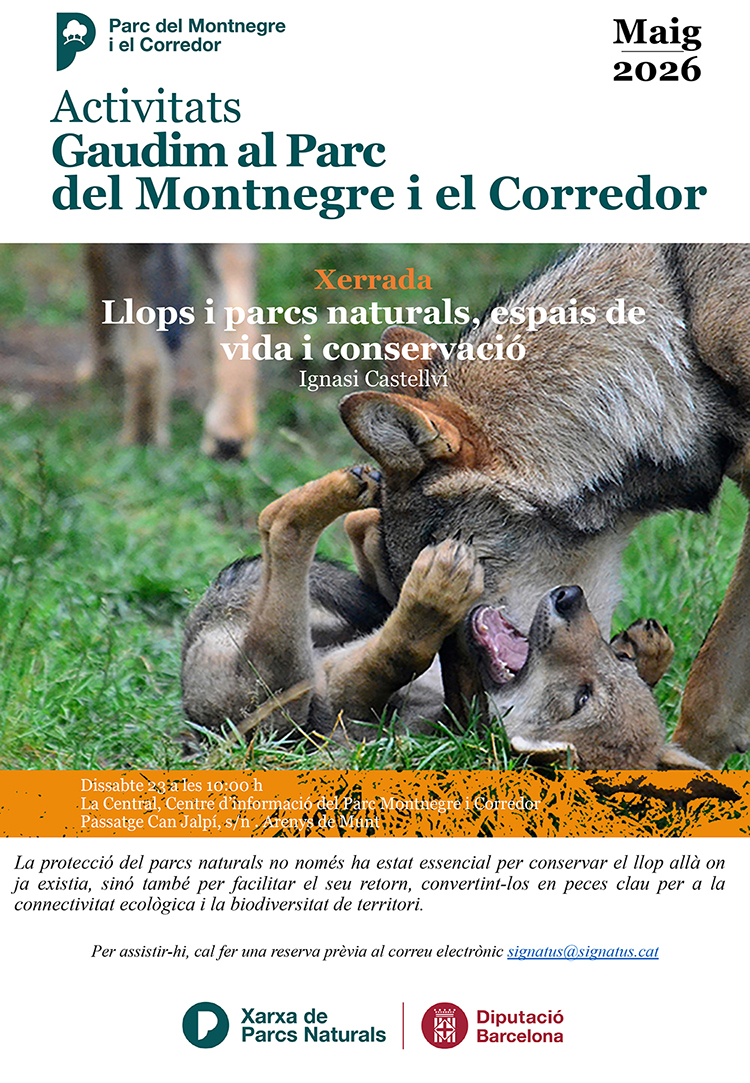Llops i parcs naturals, espais de vida i conservaci&oacute;