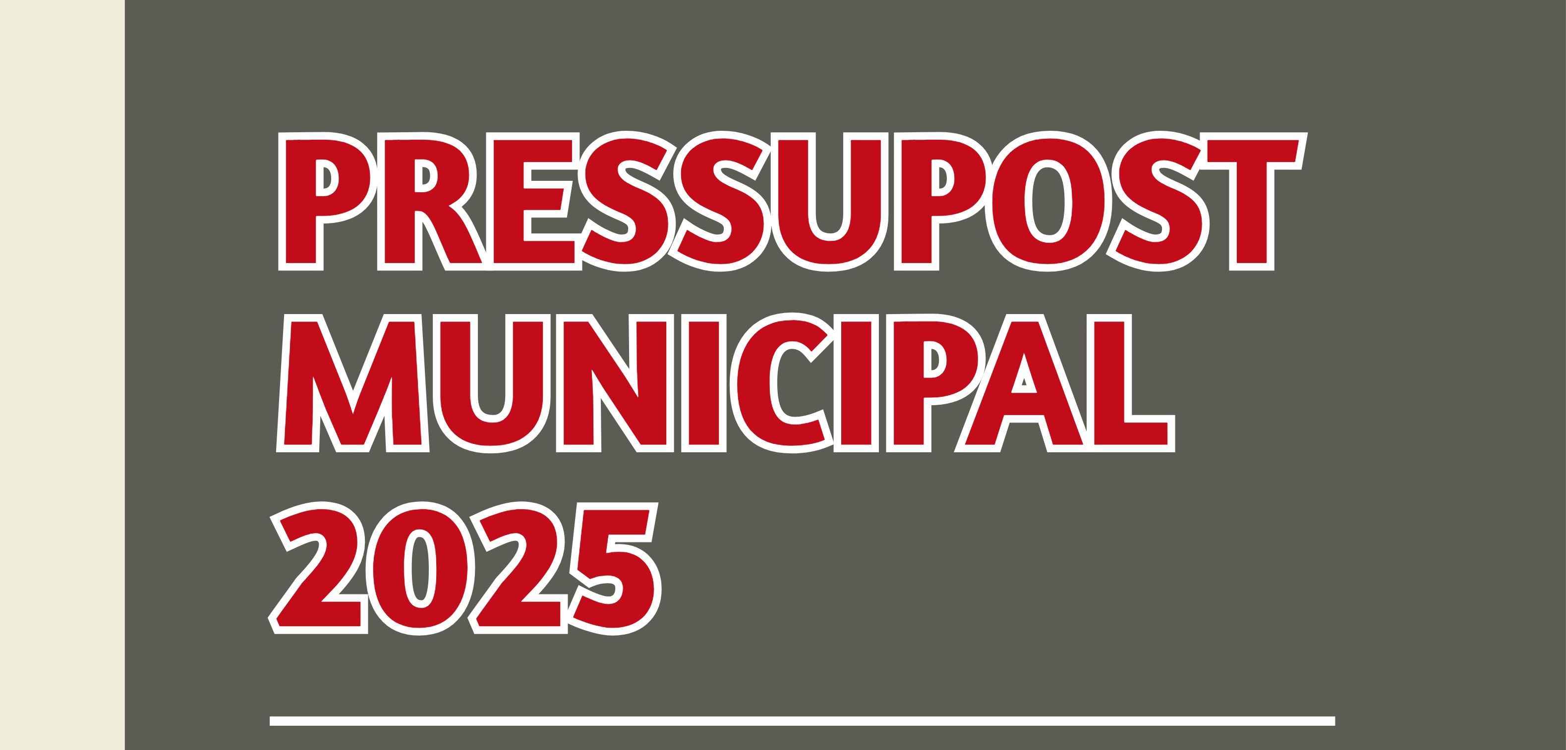 Audiència pública per a la presentació del pressupost municipal 2025