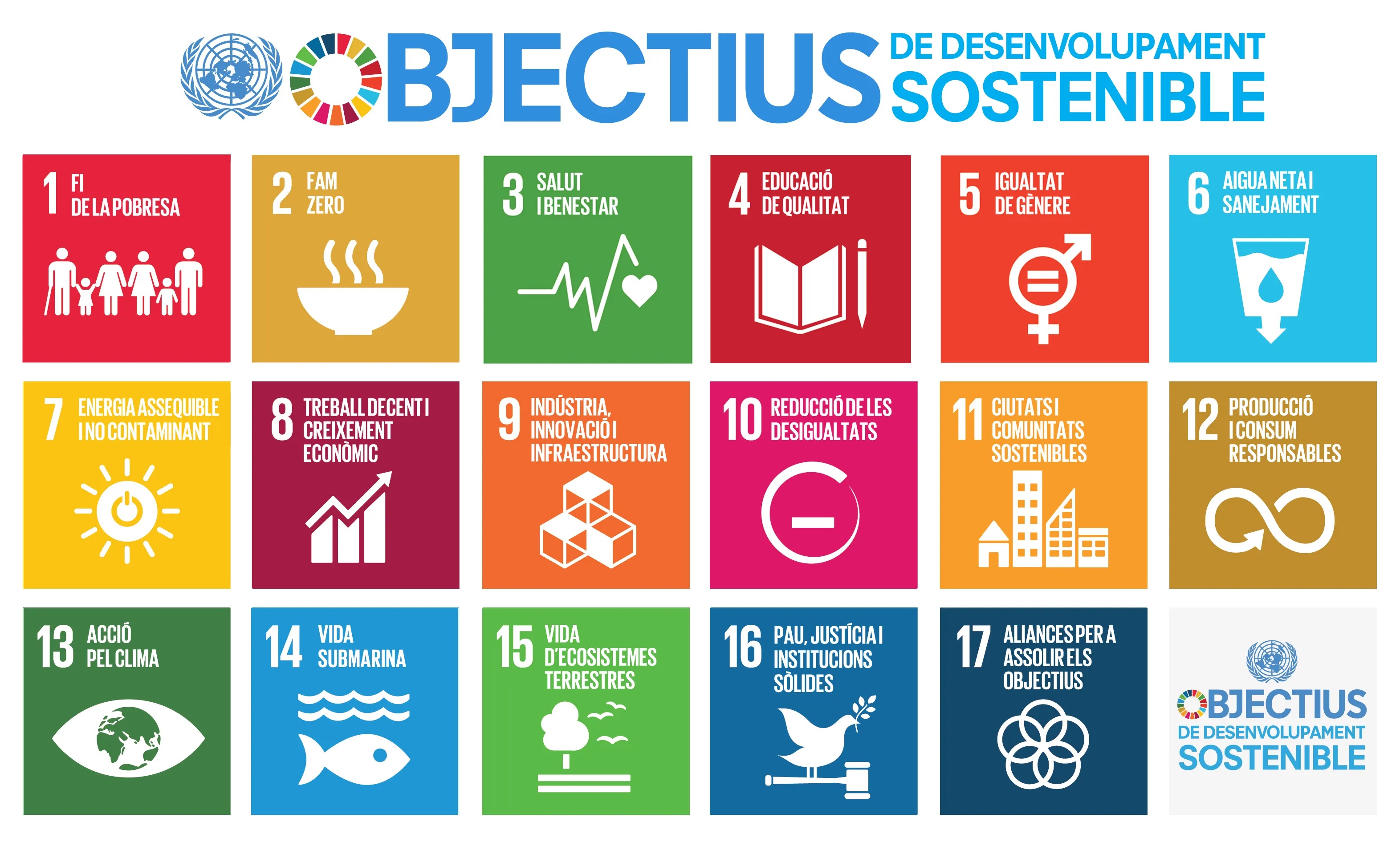 Objectius de Desenvolupament Sostenible durant l'any 2024