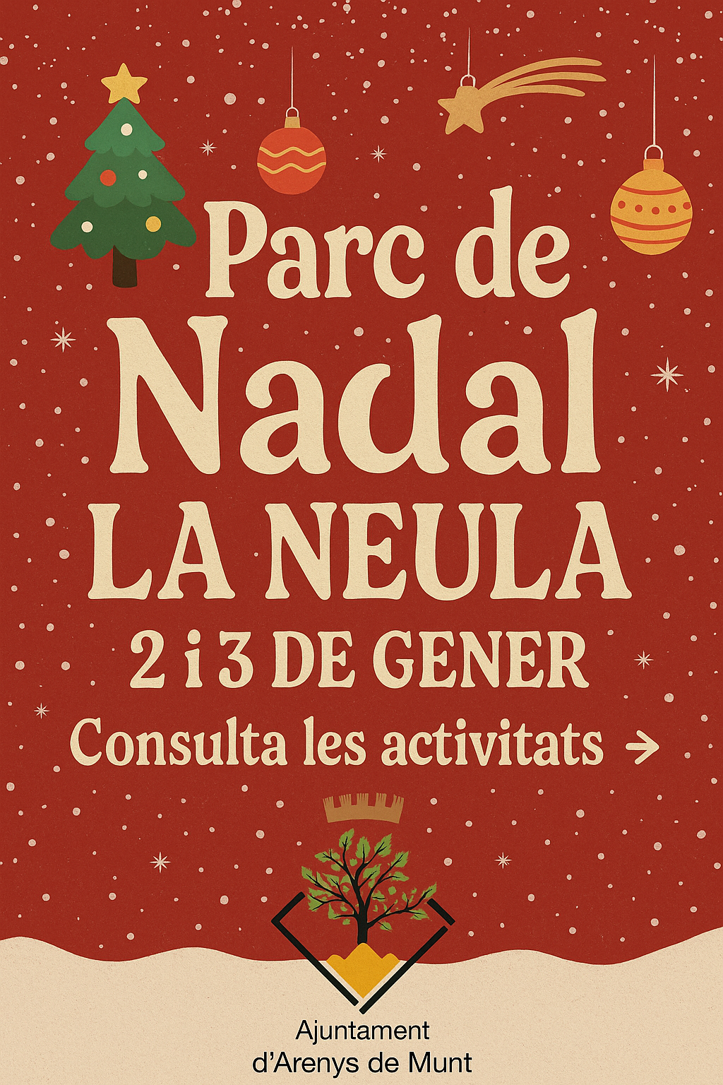 PARC INFANTIL DE NADAL 