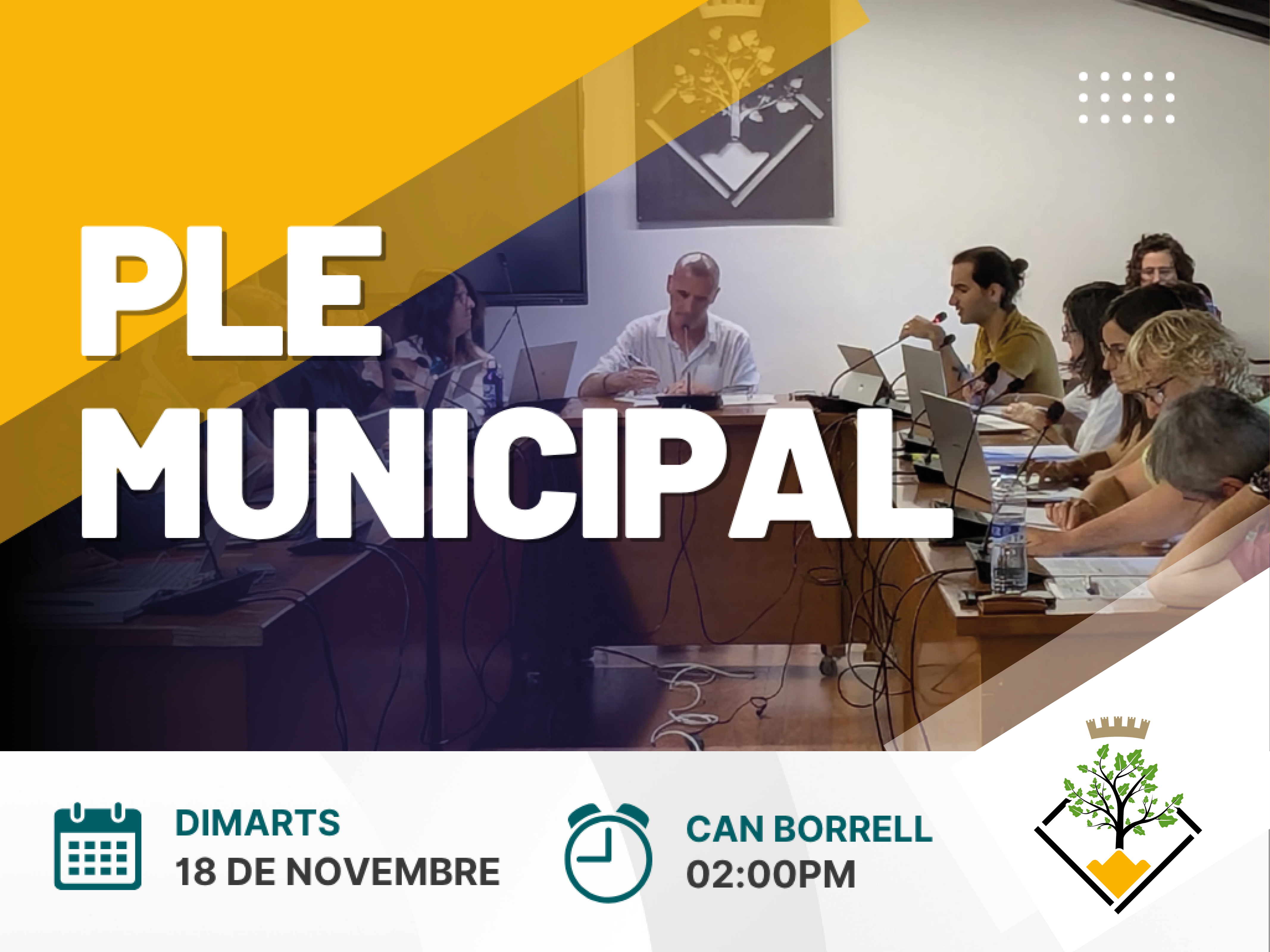 Ple ordinari el dimarts 18 de novembre 