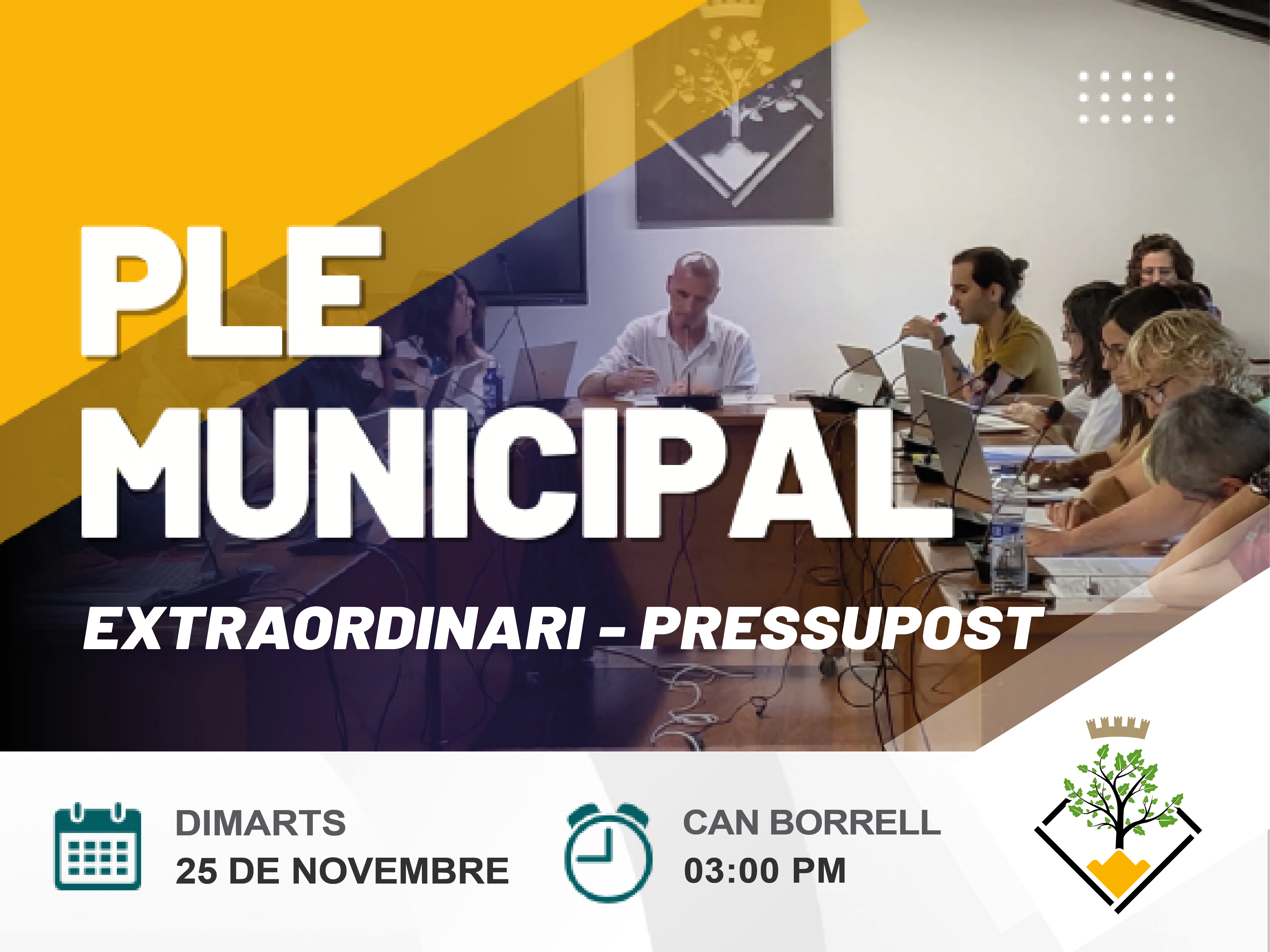Ple extraordinari el dimarts 25 de novembre 