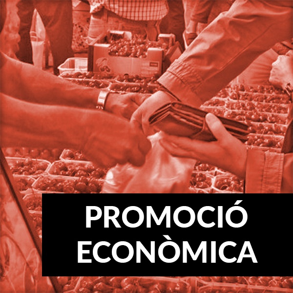 Promoció Econòmica, Comerç i Turisme