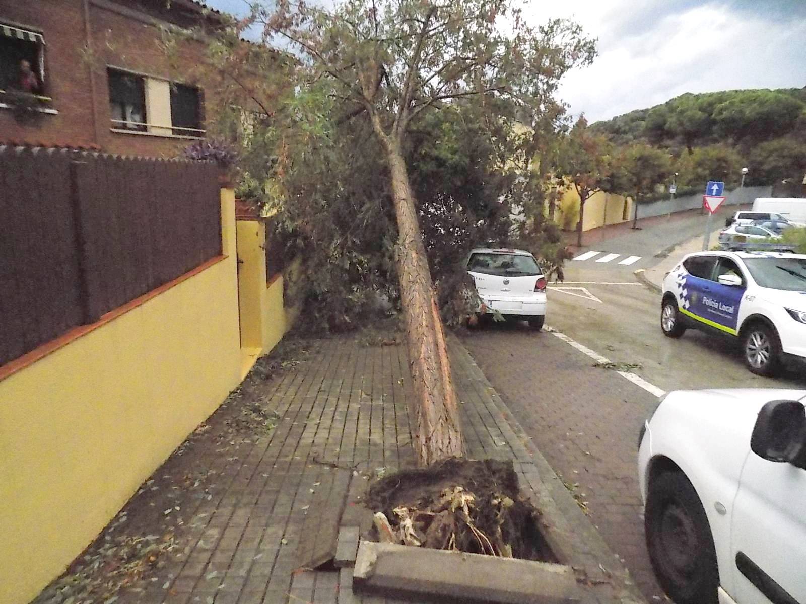 La policia va fer onze sortides arran de les ventades d'aquesta setmana